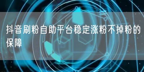 抖音刷粉自助平台稳定涨粉不掉粉的保障