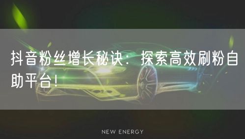 抖音粉丝增长秘诀：探索高效刷粉自助平台！