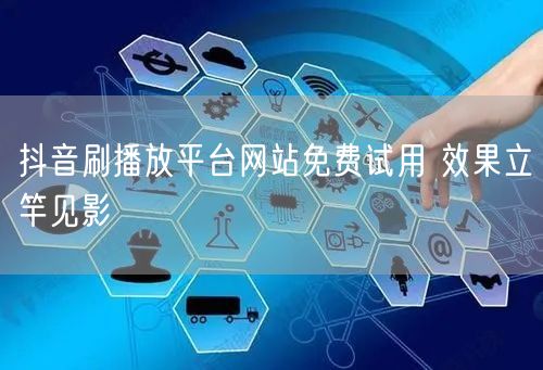 抖音刷播放平台网站免费试用 效果立竿见影