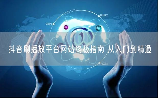 抖音刷播放平台网站终极指南 从入门到精通