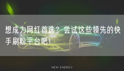 想成为网红首选？尝试这些领先的快手刷粉平台吧！