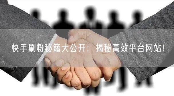 快手刷粉秘籍大公开：揭秘高效平台网站！