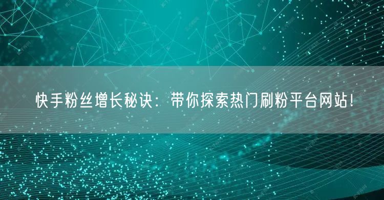 快手粉丝增长秘诀：带你探索热门刷粉平台网站！