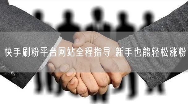 快手刷粉平台网站全程指导 新手也能轻松涨粉