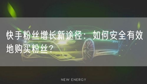 快手粉丝增长新途径：如何安全有效地购买粉丝？